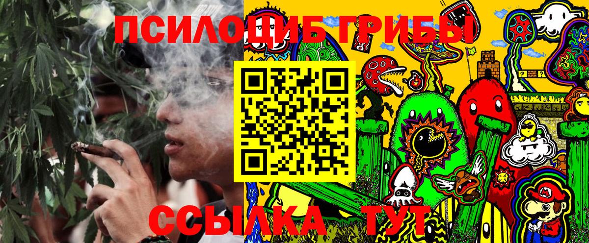 Псилоцибиновые грибы мицелий Азов